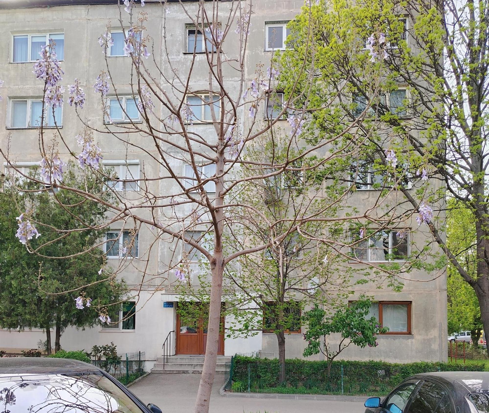Arka Apartment Craiova Esterno foto